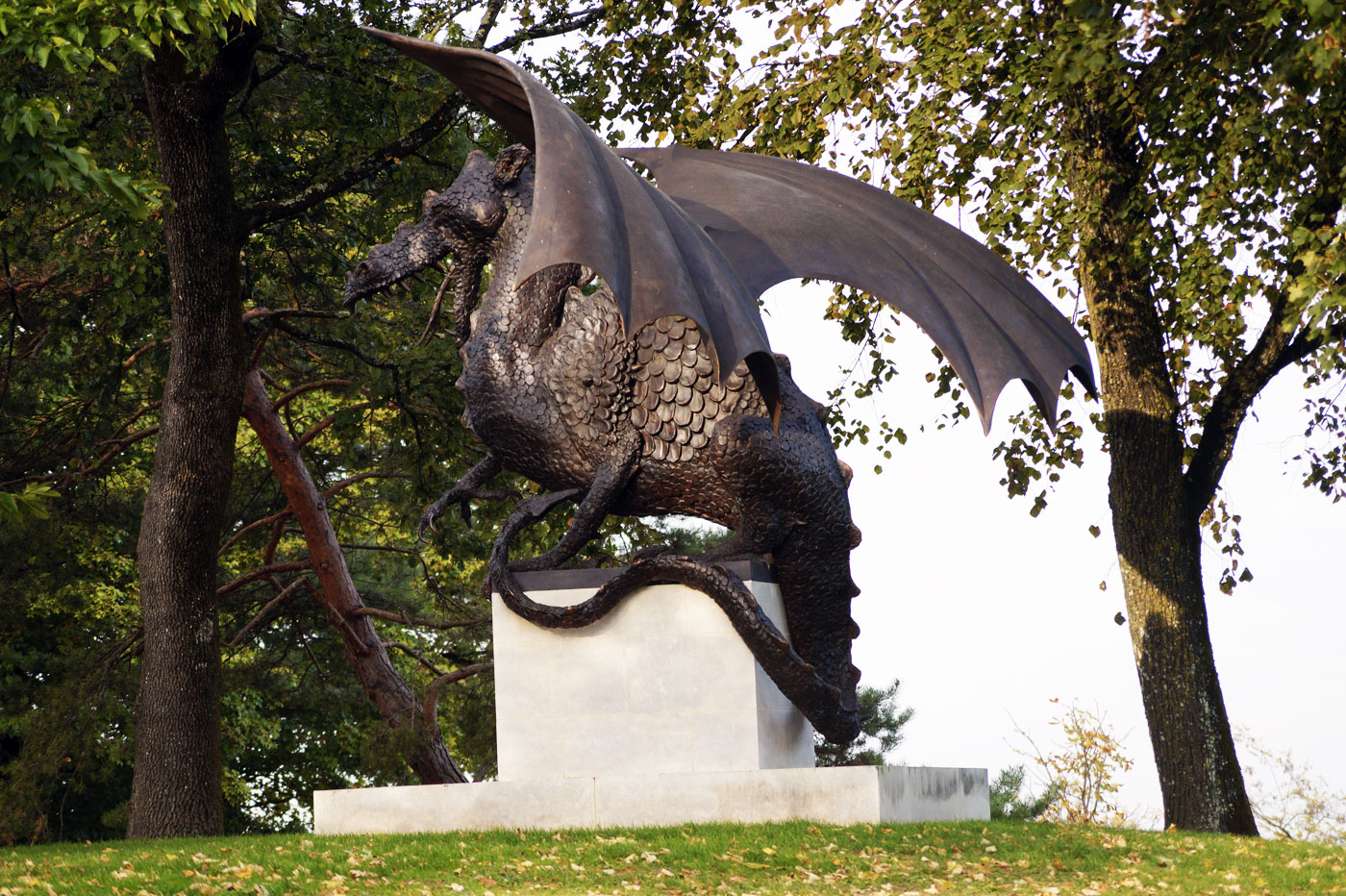 Dragon à Saint-Émilion